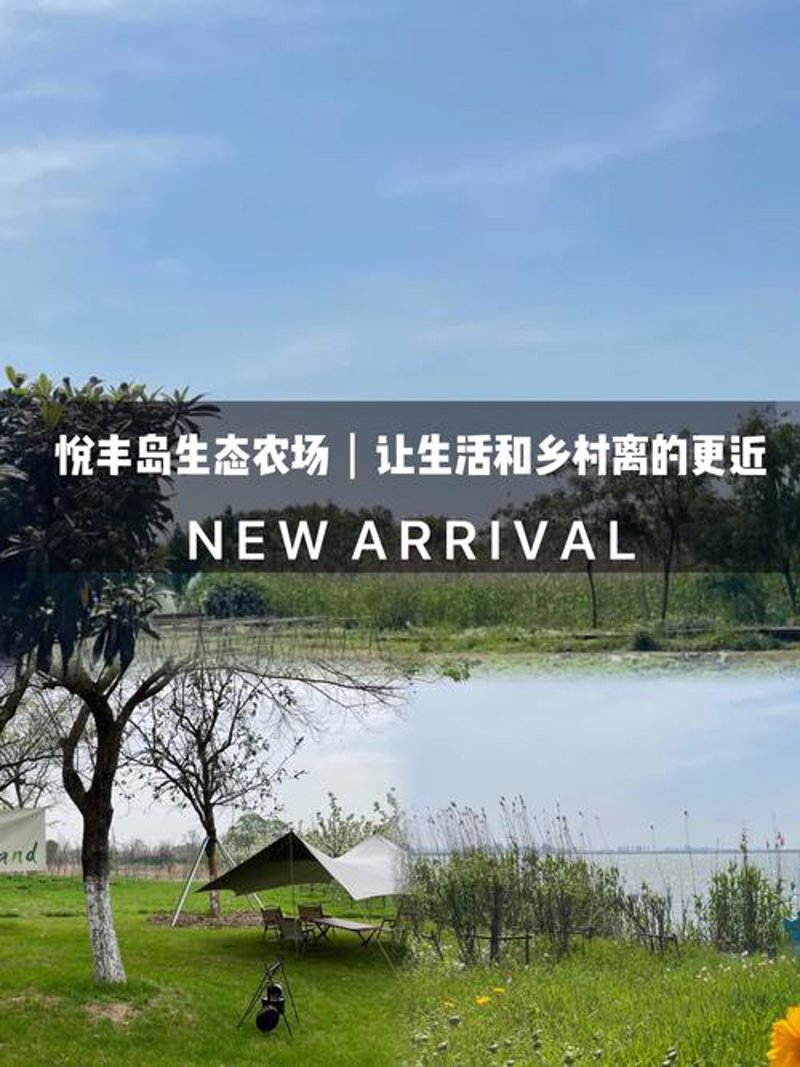 现代农业的绿色变革：生态农业案例解析