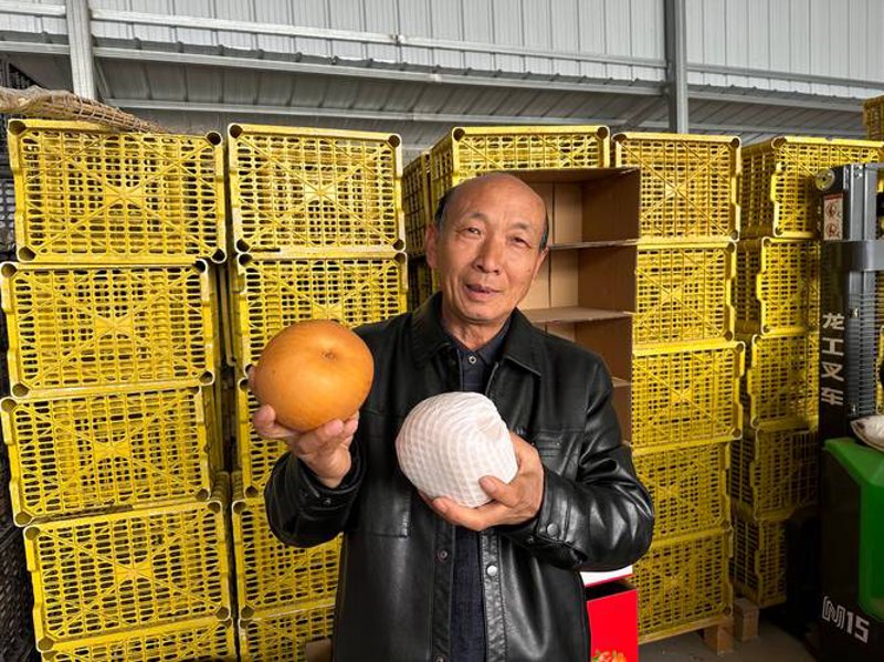 走进生态农产品批发：绿色健康的首选